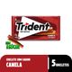 Chiclete-Trident-Canela-sem-acucar