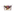 CREME-DE-ACAI-SPLIT-TODO-DIA-COM-LEITINHO-15L-PT