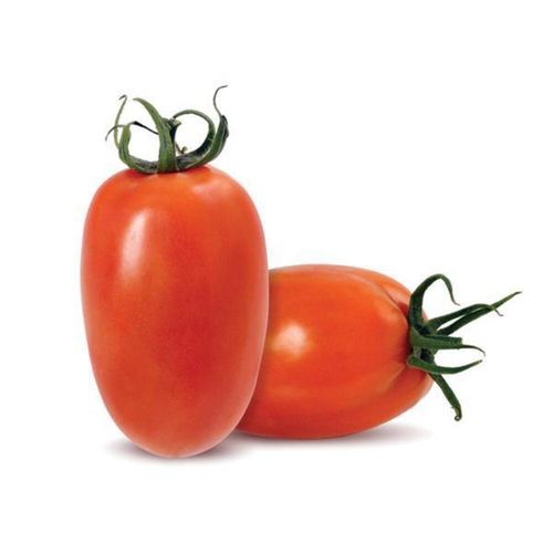Tomate-Ital-Sn-1Kg