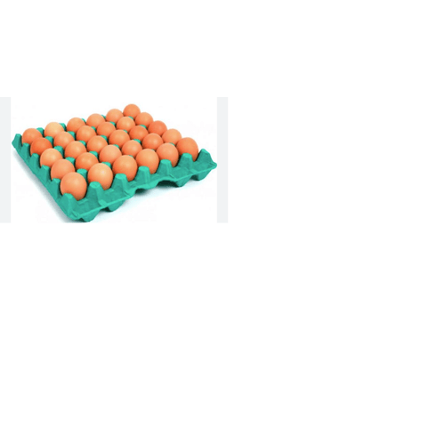 OVO-GALINHA-VRM-INDAIA-20UN