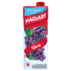 Refresco-Uva-Maguary-Caixa-1l