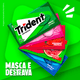 Chiclete-Trident-Menta-Sem-Acucar---Embalagem-com-5-unidades-de-8g