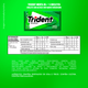 Chiclete-Trident-Menta-Sem-Acucar---Embalagem-com-5-unidades-de-8g