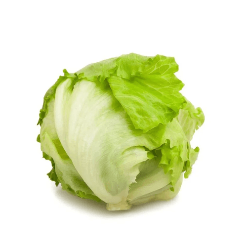 ALFACE-AMER-HIDROP-AGROPON-UN