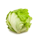 ALFACE-AMER-HIDROP-AGROPON-UN