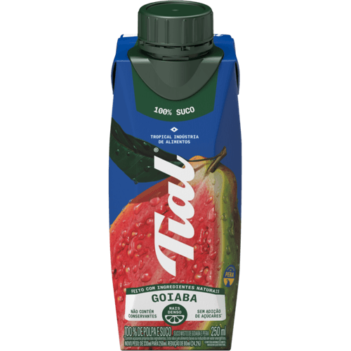Suco-Goiaba-Tial-Caixa-250ml