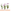 FLOR-NAT-DENDROBIUM-BORNEO-P13-MIN-3-HT
