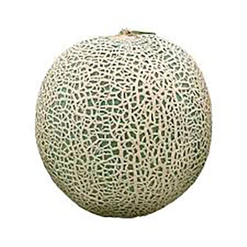 Melao Cantaloupe 1Kg Melao Cantaloupe 1Kg
