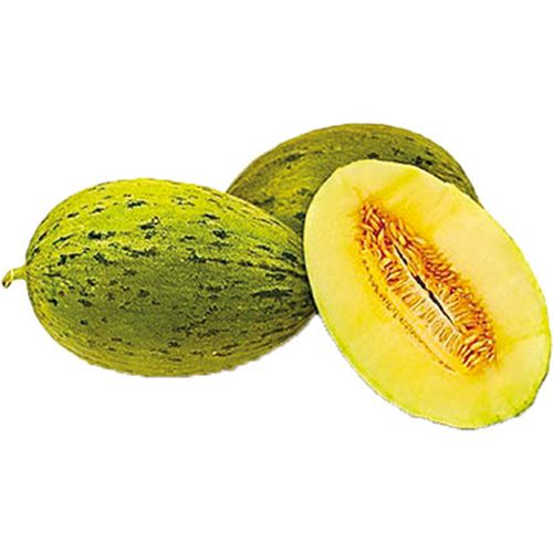 Melão Pele De Sapo 1.5Kg Melão Pele De Sapo 1.5Kg