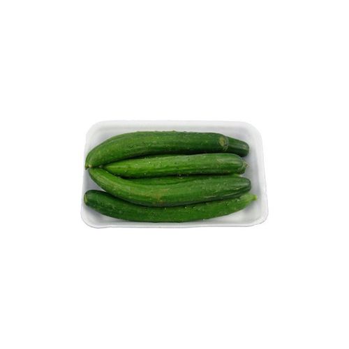 Pepino Japonês Bandeja 500g Pepino Japonês Bandeja 500g