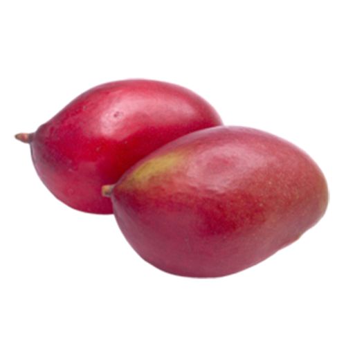 Manga Palmer 900g Manga Palmer 900g