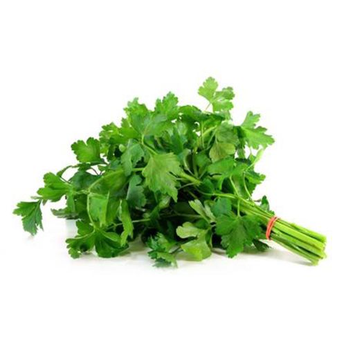 Salsinha Hidropônica Todo Verde Unidade Salsinha Hidropônica Todo Verde Unidade