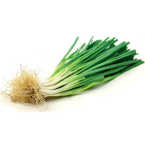 Cebolinha Hidropônica Todo Verde Unidade Cebolinha Hidropônica Todo Verde Unidade