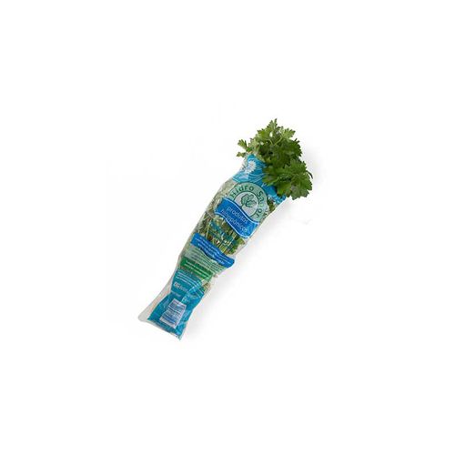 Salsa Hidropônica Hidro Sabor Unidade