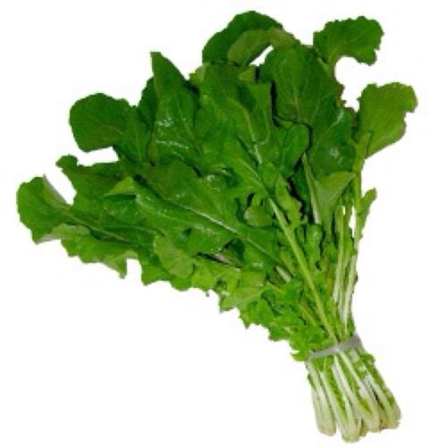 Rúcula Hidropônica Todo Verde Unidade Rúcula Hidropônica Todo Verde Unidade