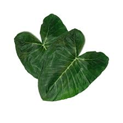 TAIOBA RECANTO LUA UN TAIOBA RECANTO LUA UN