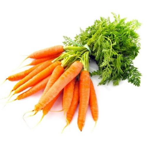 Cenoura Vrm Procvc 1Kg