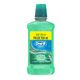7506195129104-Oral-B-Antisseptico-Bucal-Oral-B-Hortela-Leve-500ml-Pague-300ml---product.category--