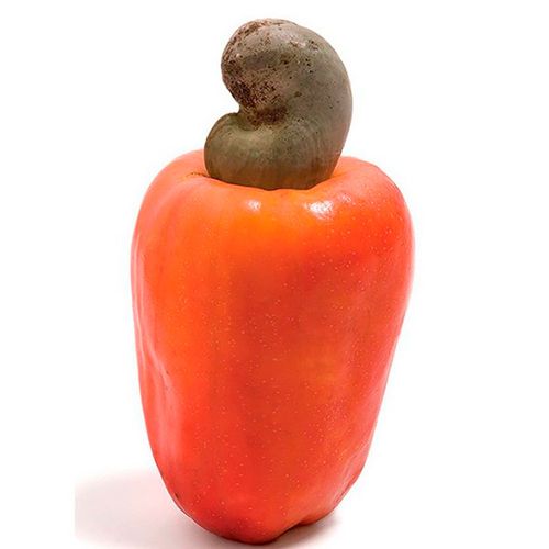 Caju Unidade Caju Unidade