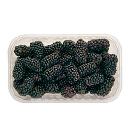 Fn Amora Bd 100gr Fn Amora Bd 100gr