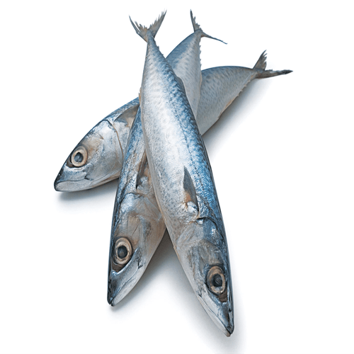 Peixe Traíra Desossada Natupeixe 1Kg