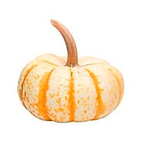 Abóbora Pump 500g Abóbora Pump 500g