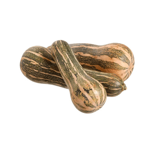 Abobora-Pescoco-1Kg Abobora-Pescoco-1Kg