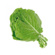 COUVE-HIDROP-HIDRO-SABOR-UN