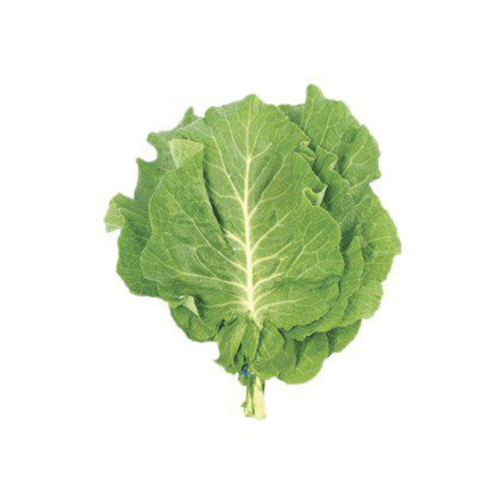 -Couve-Baby-Hidroponica-Todo-Verde-Unidade- -Couve-Baby-Hidroponica-Todo-Verde-Unidade-