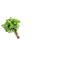 HORTELA-ORG-V-ALEGRE-15G