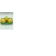 LIMAO-SICILIANO-ORG-V-ALEGRE-500G