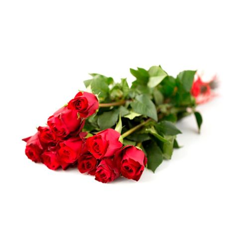 FLOR-NAT-MACO-ROSA-VARIADA