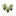 FLOR-NAT-ROSEIRA-MINI-P11-1UN