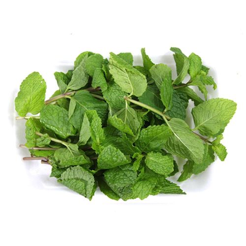 MUDA-HORTELA-UN MUDA-HORTELA-UN