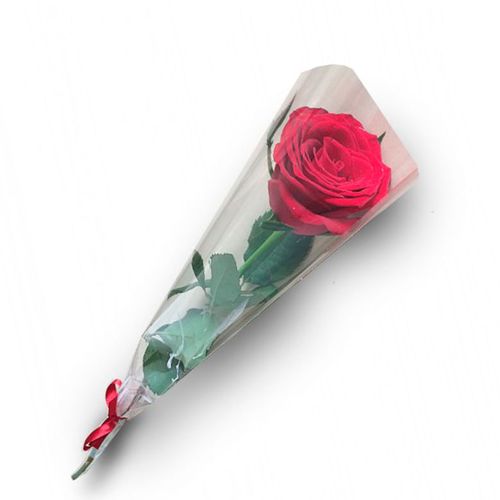 FLOR-NAT-CORTE-ROSAS-TUBETE FLOR-NAT-CORTE-ROSAS-TUBETE