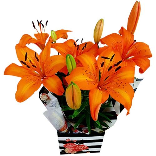 FLOR-NAT-LIRIO-VARIADO-UN FLOR-NAT-LIRIO-VARIADO-UN