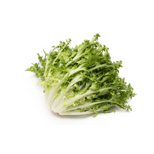 chicoria-amj-unidade chicoria-amj-unidade