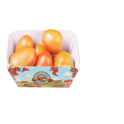 TOMATE-ITAL-COLOR-TREBESCHI-600G-BJ TOMATE-ITAL-COLOR-TREBESCHI-600G-BJ