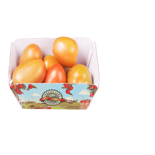 TOMATE-ITAL-COLOR-TREBESCHI-600G-BJ