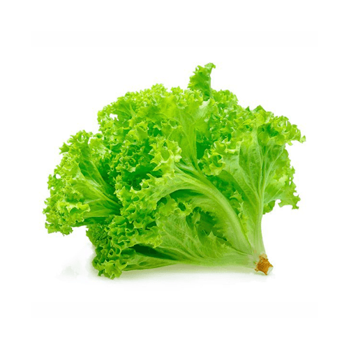 Alface-Americana-Amj-Unidade Alface-Americana-Amj-Unidade