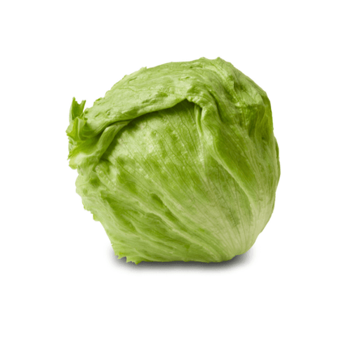 Alface-Americana-Organico-do-Chico Alface-Americana-Organico-do-Chico