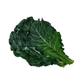 Couve-Organico-do-Chico-Molho
