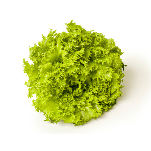 ALFACE-CRESPA-ORG