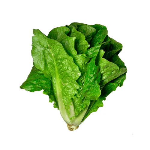 Almeirao-Amj-Unidade Almeirao-Amj-Unidade