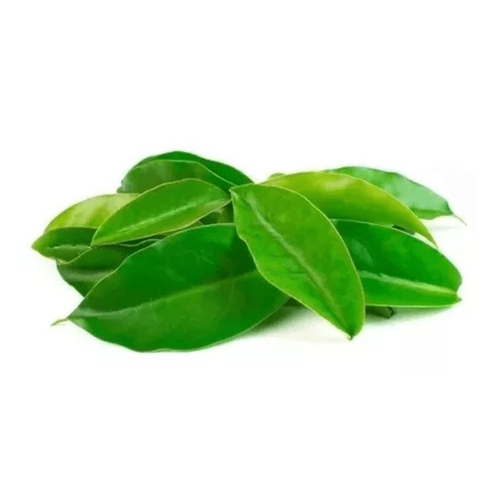 Ora-Pro-Nobis-Amj Ora-Pro-Nobis-Amj