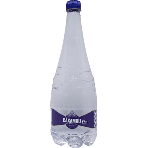 Agua-Mineral-Caxambu-Sem-Gas-1255ml