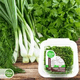 SALSA-ORG-HIGIENZ-ELEVE-50G-PICADA
