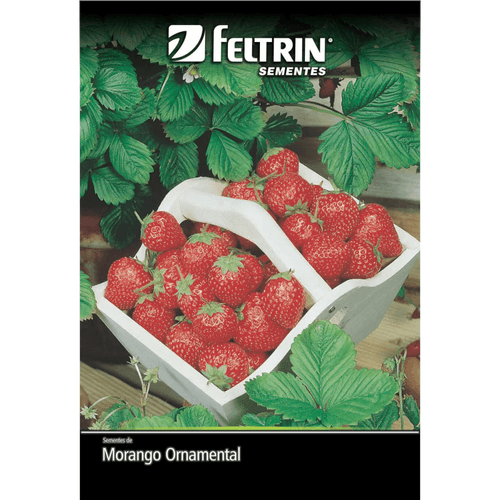SEMENTE-FELTRIN-MORANGO-ORNAMET-1EV SEMENTE-FELTRIN-MORANGO-ORNAMET-1EV