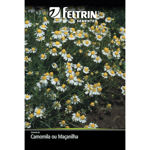 SEMENTE-FELTRIN-1EV-PLANTAS-CAMOMILA SEMENTE-FELTRIN-1EV-PLANTAS-CAMOMILA