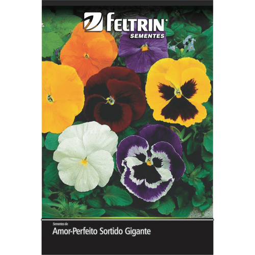 SEMENTE-FELTRIN-1EV-PLANTAS-AMOR-PERFEITO SEMENTE-FELTRIN-1EV-PLANTAS-AMOR-PERFEITO